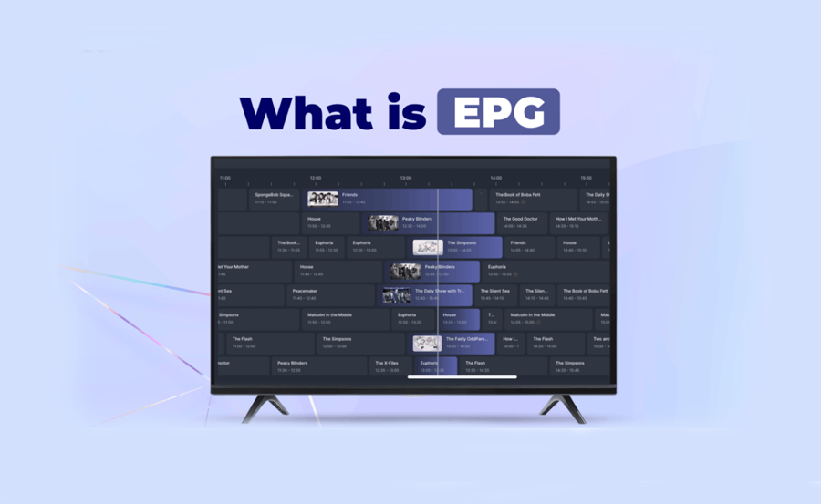 EPG nedir?