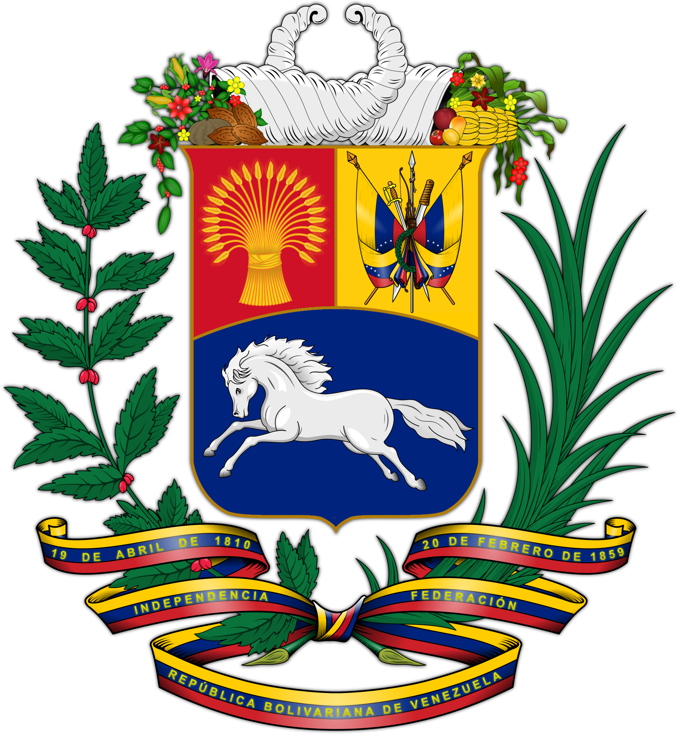 Premium IPTV Provider in Venezuela